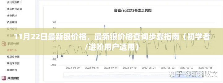 最新銀價(jià)格查詢指南，步驟詳解，適用于初學(xué)者與進(jìn)階用戶（11月22日更新）