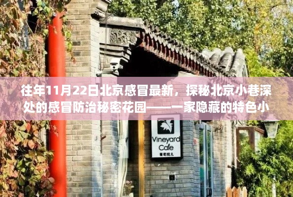 探秘北京小巷深處的特色小店，感冒防治秘密花園