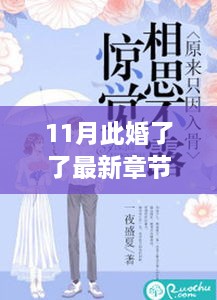 11月此婚了了最新章節(jié)，婚緣十一月，溫馨日常與愛的紐帶