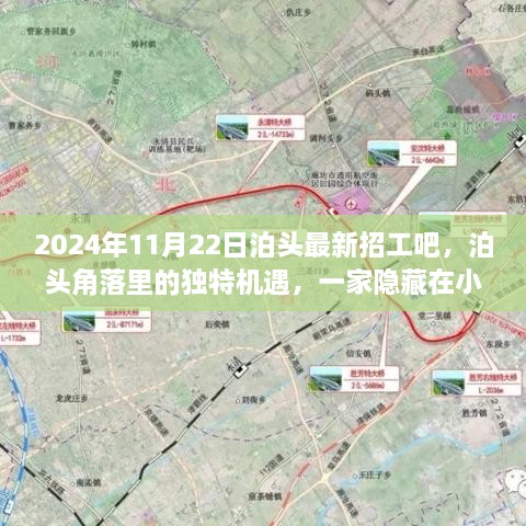 2024年11月22日泊頭最新招工吧，泊頭角落里的獨特機遇，一家隱藏在小巷中的特色小店招工記