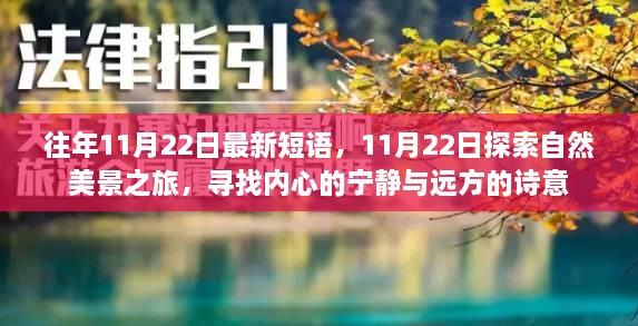 11月22日，自然美景之旅，探尋內(nèi)心的寧?kù)o與詩(shī)意遠(yuǎn)方