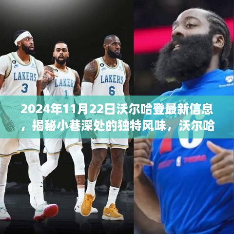 沃爾哈登小巷獨特風(fēng)味揭秘，2024年11月22日獨家報道