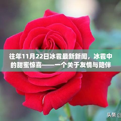 冰雹中的甜蜜驚喜，友情與陪伴的溫馨故事——最新冰雹新聞回顧往年事件