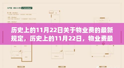 歷史上的11月22日物業(yè)費(fèi)新規(guī)誕生及其影響概述