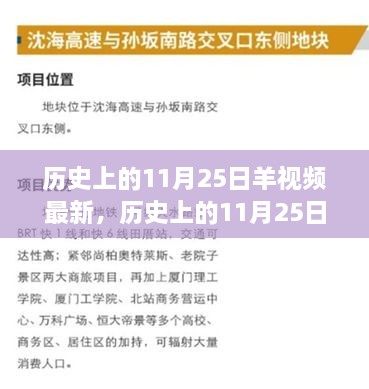 歷史上的11月25日，羊視頻現(xiàn)象背后的故事與影響揭秘