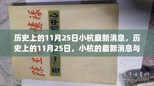 歷史上的11月25日，小杭的最新消息與深遠(yuǎn)影響揭秘