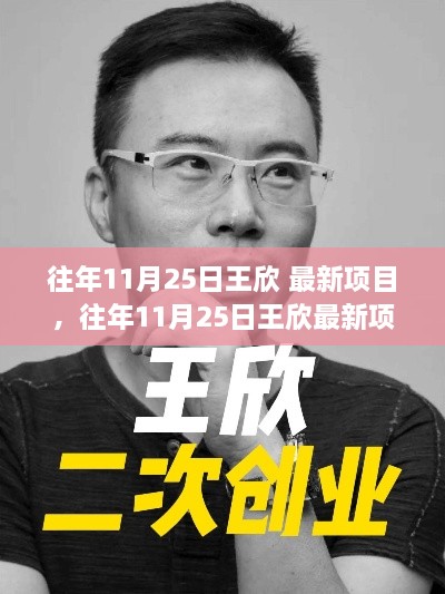 王欣最新項目深度評測與介紹，歷年11月25日回顧與前瞻