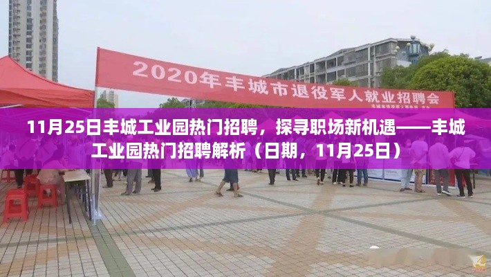 探尋職場新機遇，豐城工業(yè)園熱門招聘解析（日期，11月25日）