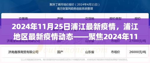 2024年11月25日浦江地區(qū)疫情動態(tài)，防控進(jìn)展與科普解讀