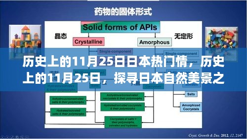 探尋日本自然美景之旅，歷史上的11月25日與日本情感之旅的寧?kù)o與平和