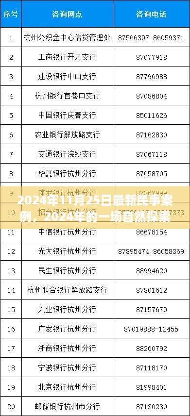 民事案例背后的心靈之旅，自然探索之旅的啟示（2024年最新案例）