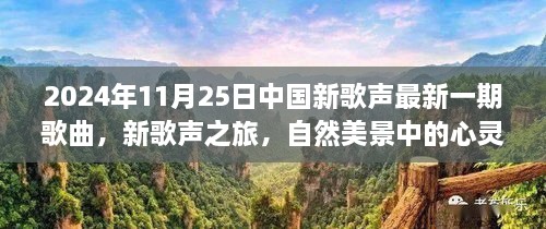 心靈和弦的共鳴，2024年11月25日中國新歌聲之旅的自然美景啟示