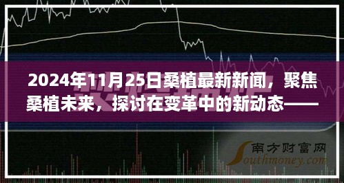 變革中的新動態(tài)，聚焦桑植未來——2024年11月25日桑植最新新聞視角