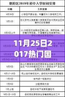 2017年熱門國稅政策詳解與操作指南，適合初學者與進階用戶的學習指南（11月25日更新）