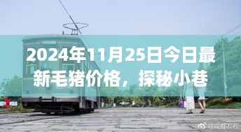 毛豬價(jià)格揭秘與小巷特色小店的幕后故事，2024年最新資訊，今日探秘之旅