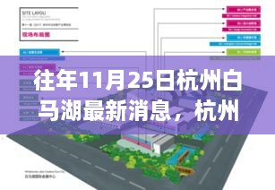 往年11月25日杭州白馬湖最新消息，杭州白馬湖，十一月二十五日的最新篇章