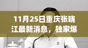 重慶張曉江最新動(dòng)態(tài)揭秘，11月25日獨(dú)家爆料，瞬間驚艷！