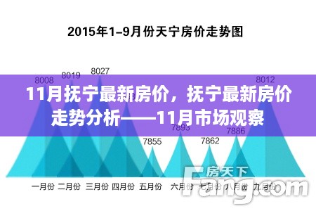 撫寧最新房價動態(tài)及走勢分析，11月市場觀察報告