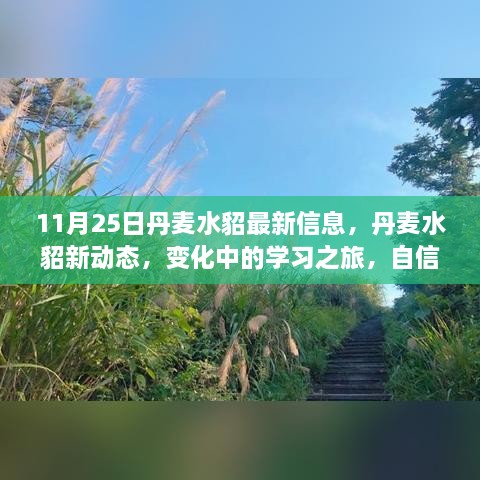 11月25日丹麥水貂最新信息，丹麥水貂新動態(tài)，變化中的學習之旅，自信與成就感的源泉