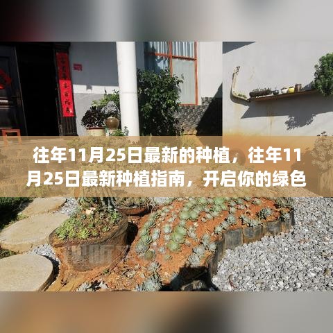 往年11月25日最新的種植，往年11月25日最新種植指南，開啟你的綠色生活之旅