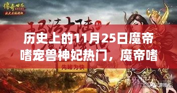 魔帝嗜寵獸神妃，深度測(cè)評(píng)與介紹——?dú)v史上的11月25日熱門話題