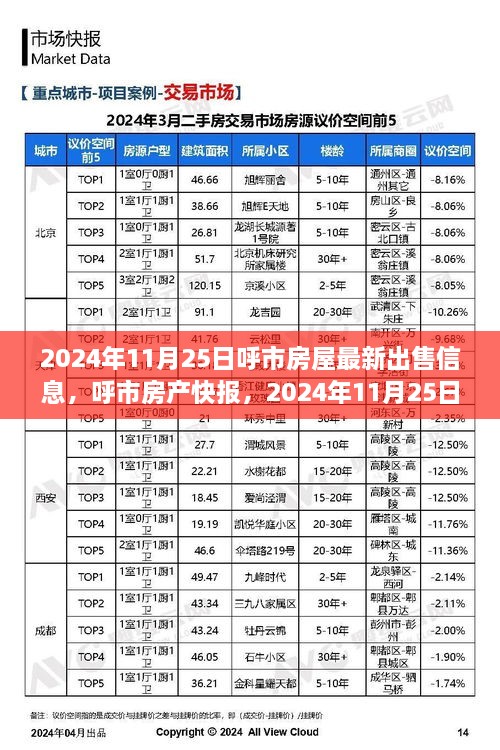 呼市房屋最新出售信息快報(bào)，2024年11月25日理想家園房源一覽