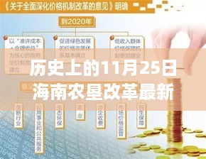 海南農(nóng)墾改革新篇章，歷史上的11月25日，變革中的自信與成就感