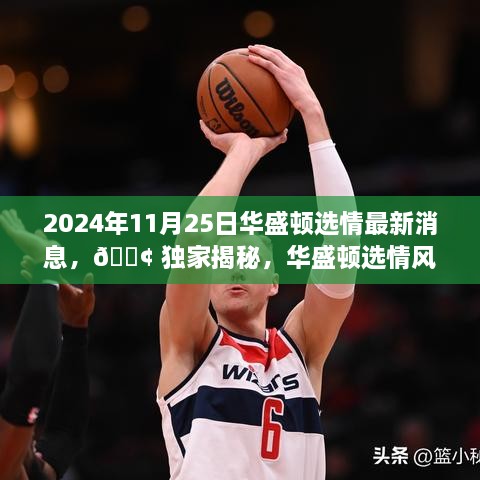 2024年11月25日華盛頓選情最新消息，?? 獨家揭秘，華盛頓選情風(fēng)云變幻，最新消息一網(wǎng)打盡！?? 2024年11月25日選情深度解析