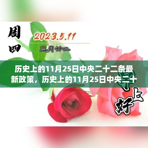 歷史上的11月25日中央二十二條最新政策，歷史上的11月25日中央二十二條最新政策深度解讀