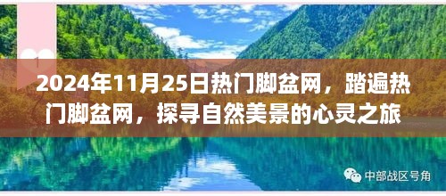 探尋自然美景的心靈之旅，熱門(mén)腳盆網(wǎng)之旅（2024年11月25日）