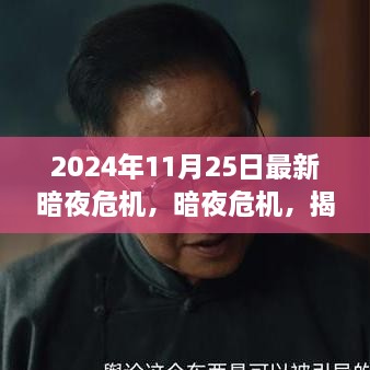 揭秘，2024年11月25日暗夜危機的背后故事與影響揭秘