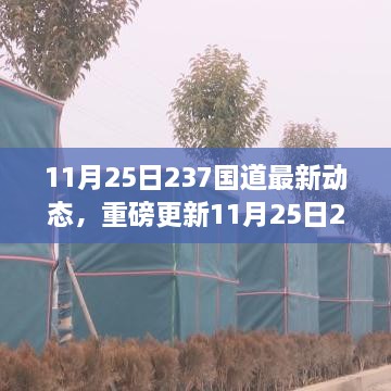 11月25日237國(guó)道最新動(dòng)態(tài)全解析，路況、施工及出行指南