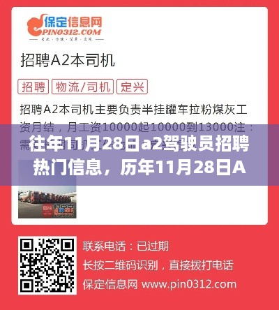 歷年11月28日A2駕駛員招聘熱門信息解析與深度探討