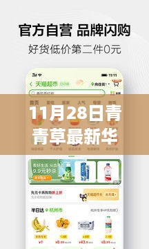 涉黃警告，11月28日青青草最新華人免費(fèi)資源獲取指南及全攻略