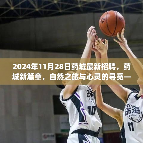 2024年11月28日藥城最新招聘，藥城新篇章，自然之旅與心靈的尋覓——2024年11月28日招聘之旅啟程啦！