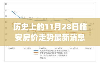 歷史上的11月28日臨安房價走勢深度解析，背景、事件與地位及其最新消息