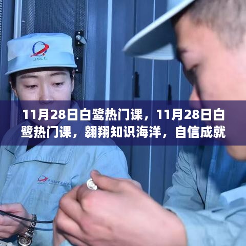 11月28日白鷺熱門課程，翱翔知識海洋，塑造自信未來夢想