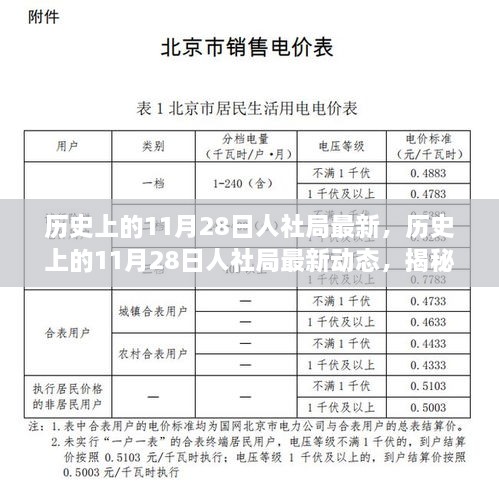 揭秘歷史上的11月28日人社局最新動(dòng)態(tài)，改變未來(lái)的重要時(shí)刻回顧