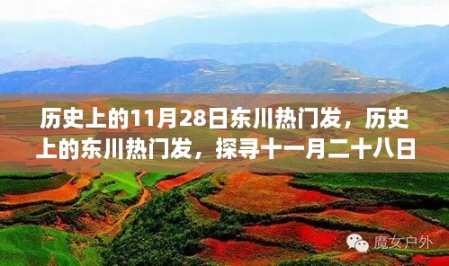 歷史上的11月28日東川熱門發(fā)，歷史上的東川熱門發(fā)，探尋十一月二十八日的輝煌印記