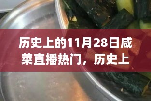 歷史上的11月28日咸菜直播熱門，歷史上的11月28日，見證咸菜直播熱門高科技產(chǎn)品的誕生與革新