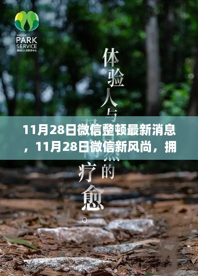 微信整頓新動態(tài)，啟程心靈之旅，擁抱自然新風(fēng)尚