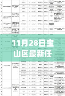 11月28日寶山區(qū)干部任免更新，流程詳解與操作指南