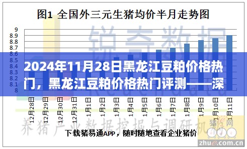 黑龍江豆粕價格熱門解析，深度剖析豆粕特性、用戶體驗與目標(biāo)用戶群體分析報告