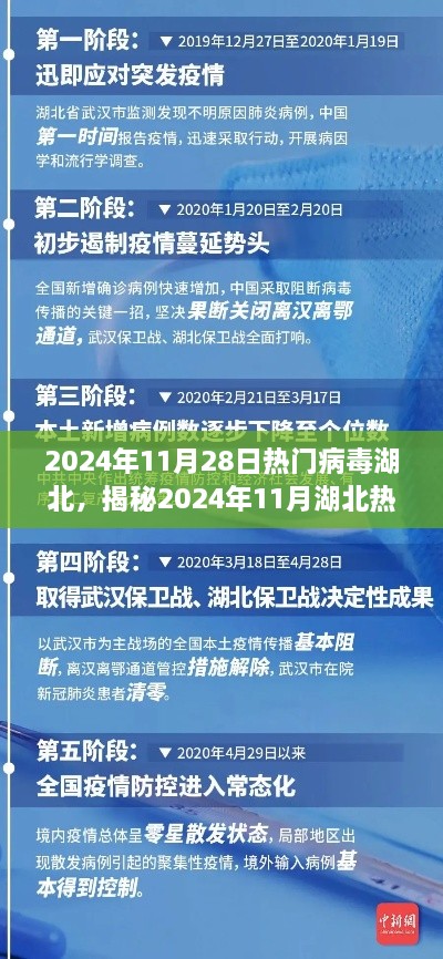 揭秘湖北熱門病毒現(xiàn)象，傳播特點、防控措施與公眾關(guān)注焦點（2024年11月報告）