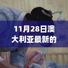 11月28日澳大利亞最新的政策，澳大利亞新政策啟航日，變化中的學(xué)習(xí)，自信與成就感的源泉