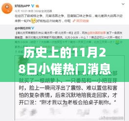 歷史上的11月28日，小催熱門消息回顧