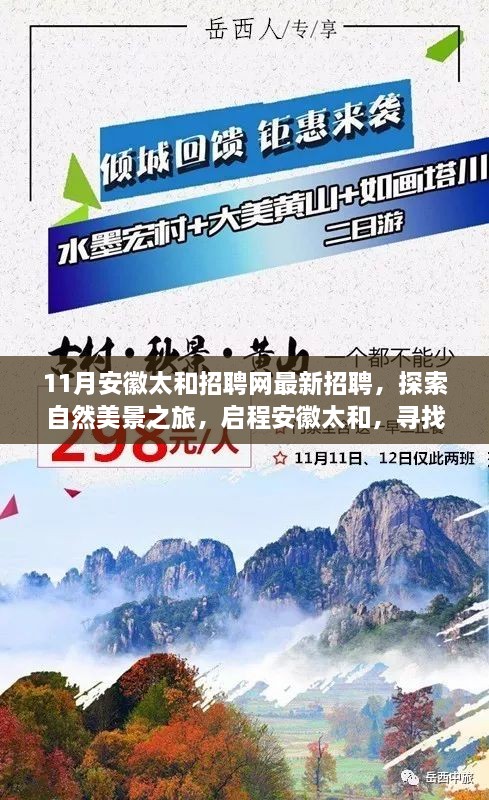 安徽太和最新招聘啟幕，探索自然美景之旅，啟程尋找內(nèi)心寧?kù)o與和諧