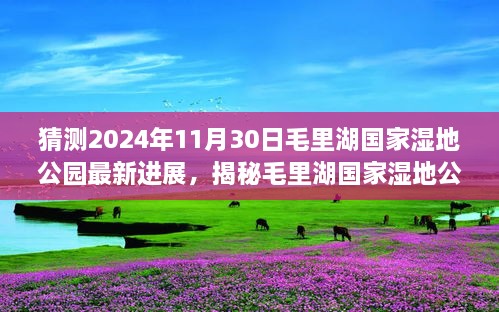 猜測2024年11月30日毛里湖國家濕地公園最新進(jìn)展，揭秘毛里湖國家濕地公園，2024年最新進(jìn)展展望