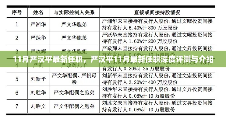 嚴漢平最新任職深度解析與介紹，揭秘其11月新職務的機遇與挑戰(zhàn)