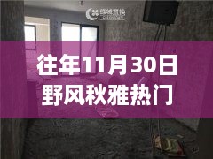 往年11月30日野風(fēng)秋雅熱門房?jī)r(jià)，野風(fēng)秋雅深處的寶藏，揭秘隱藏在小巷中的特色小店與往年熱門房?jī)r(jià)盛景